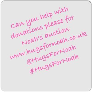 Hugs For Noah Auction