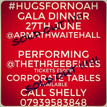 Hugs For Noah Gala Dinner 2014